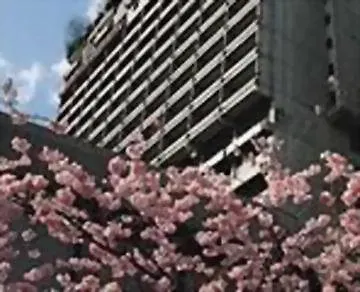 Ξενοδοχείο Lindner Seestern, Part Of Jdv By Hyatt 4*